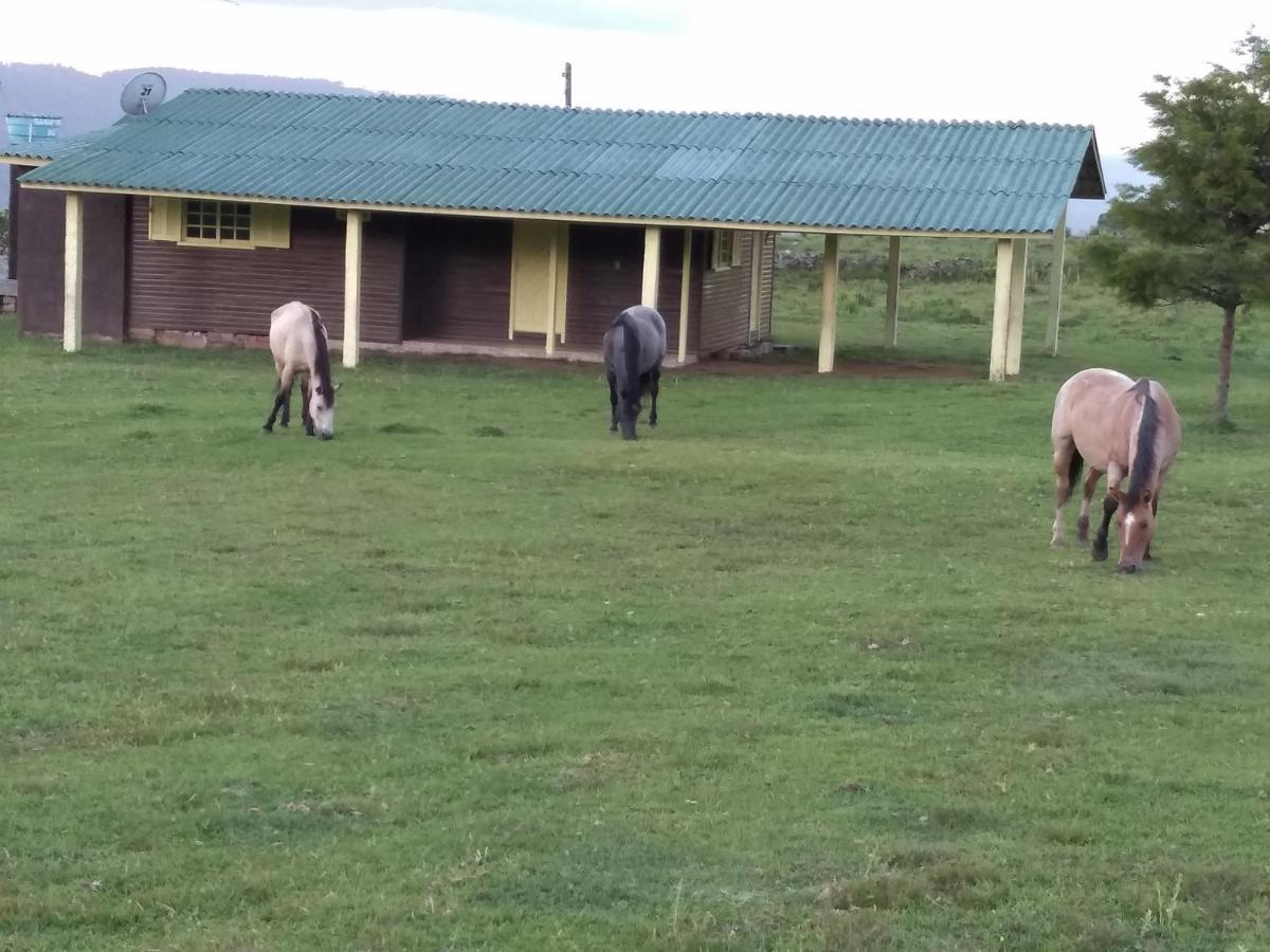 Pousada Fazenda Paim Sao Jose dos Ausentes Buitenkant foto