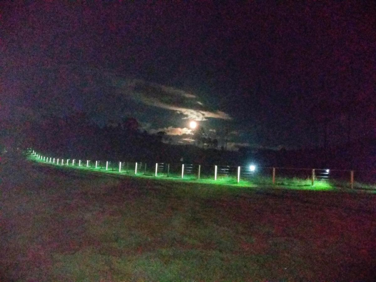 Pousada Fazenda Paim Sao Jose dos Ausentes Buitenkant foto