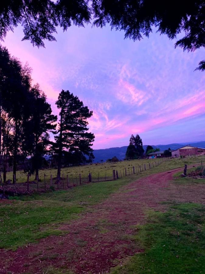 Pousada Fazenda Paim Sao Jose dos Ausentes Buitenkant foto