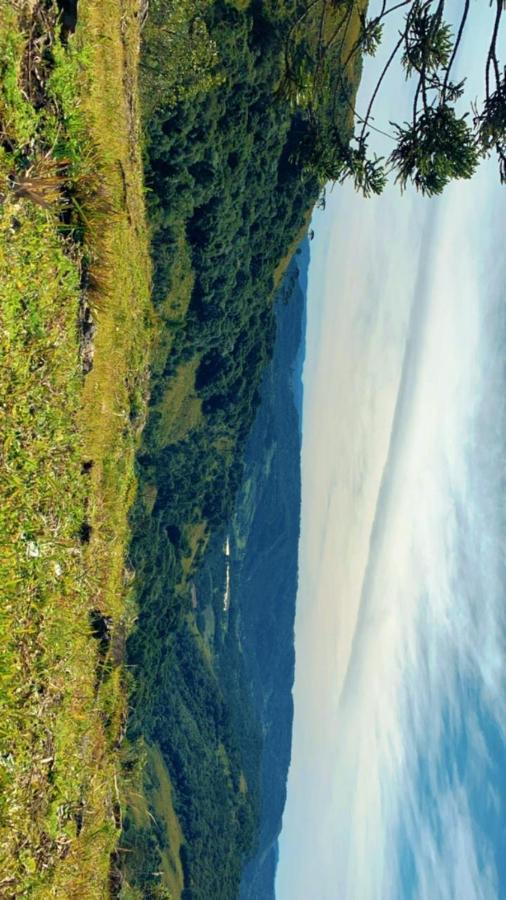 Pousada Fazenda Paim Sao Jose dos Ausentes Buitenkant foto