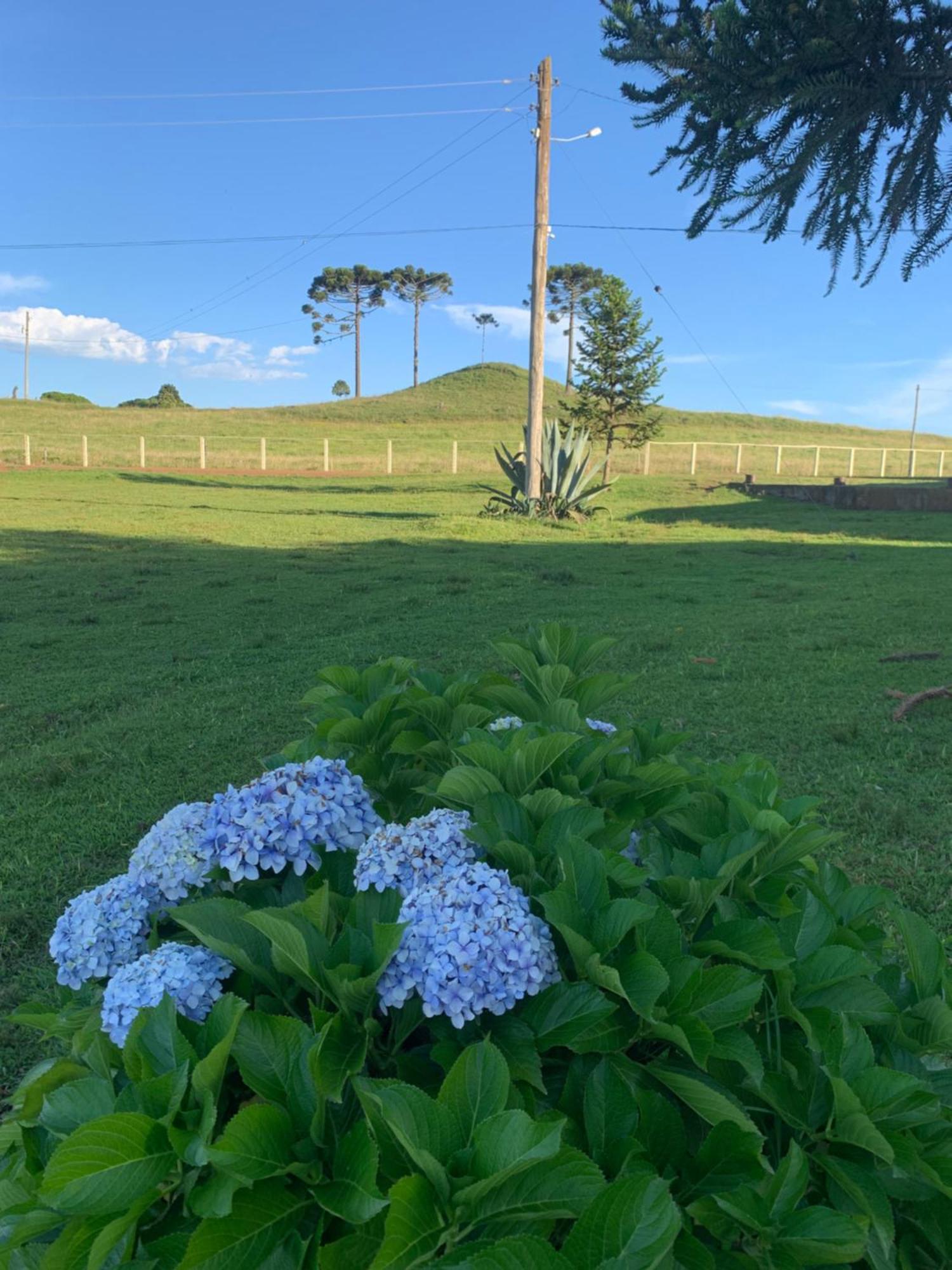 Pousada Fazenda Paim Sao Jose dos Ausentes Buitenkant foto