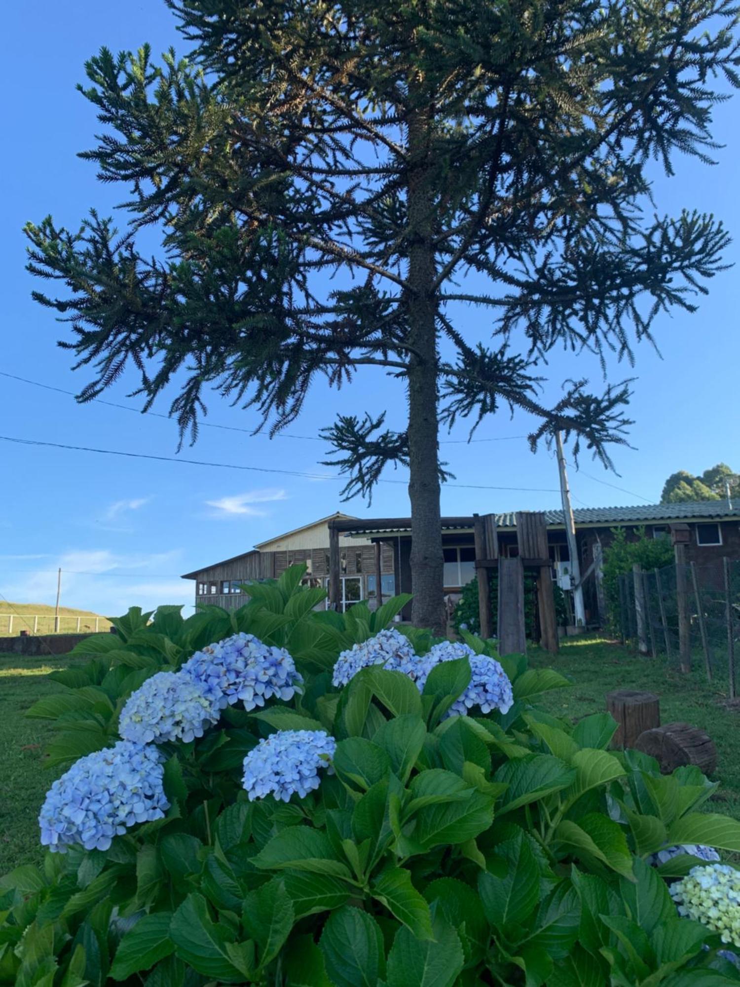 Pousada Fazenda Paim Sao Jose dos Ausentes Buitenkant foto