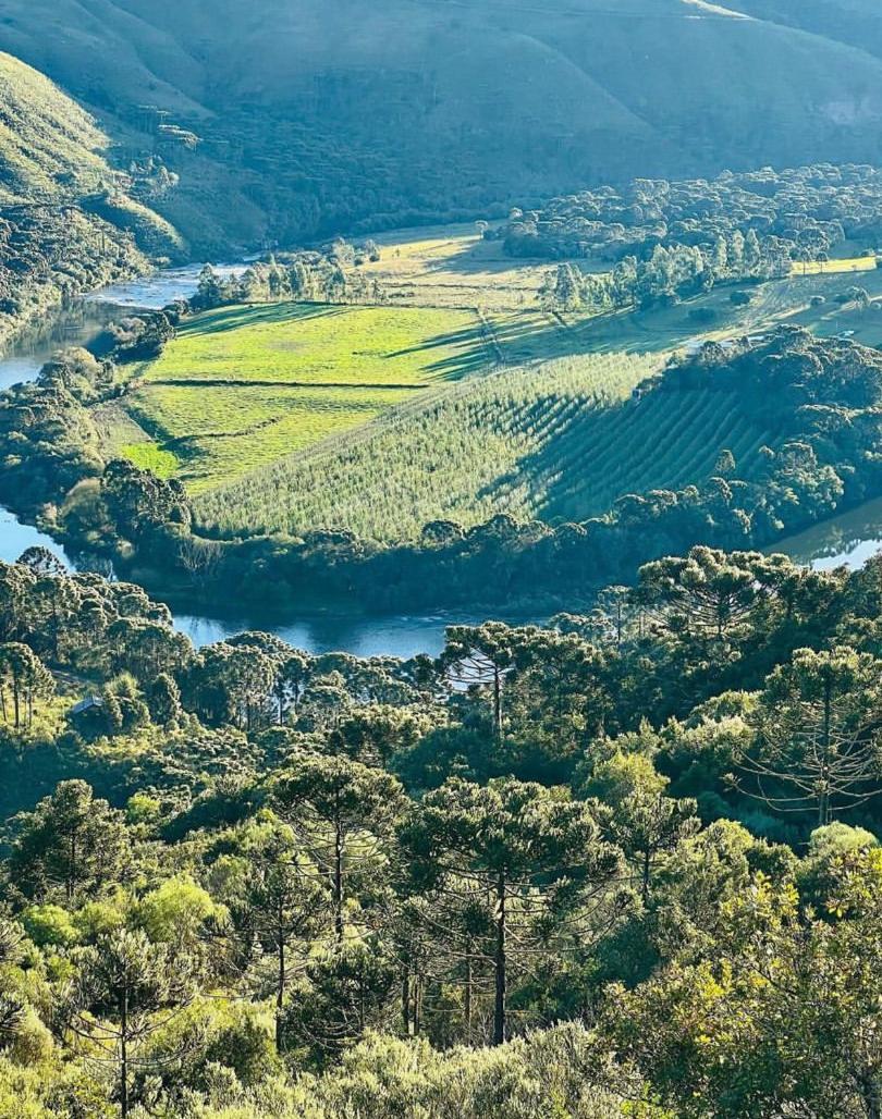 Pousada Fazenda Paim Sao Jose dos Ausentes Buitenkant foto