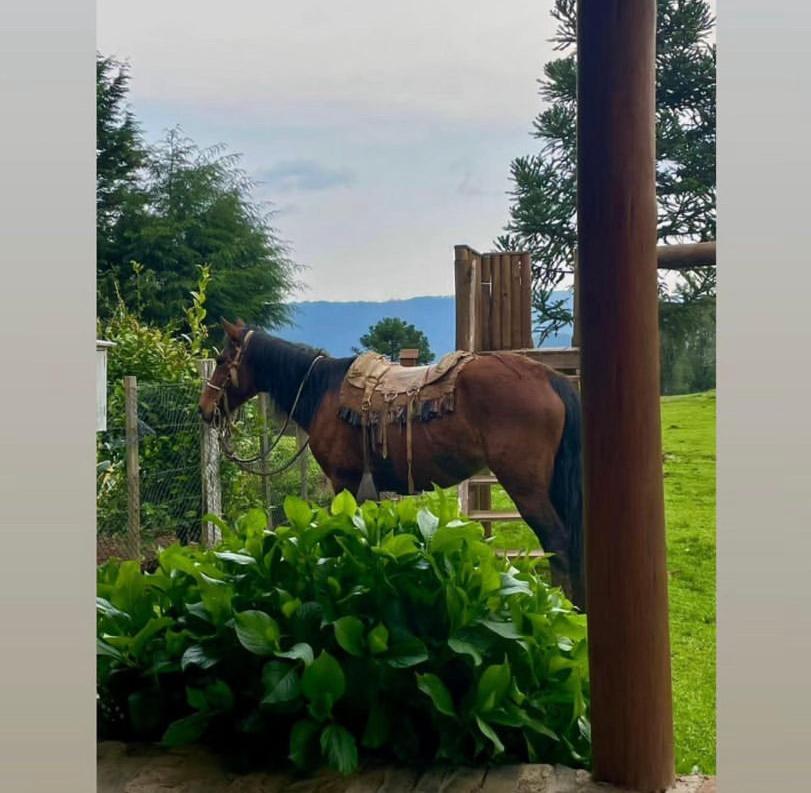 Pousada Fazenda Paim Sao Jose dos Ausentes Buitenkant foto