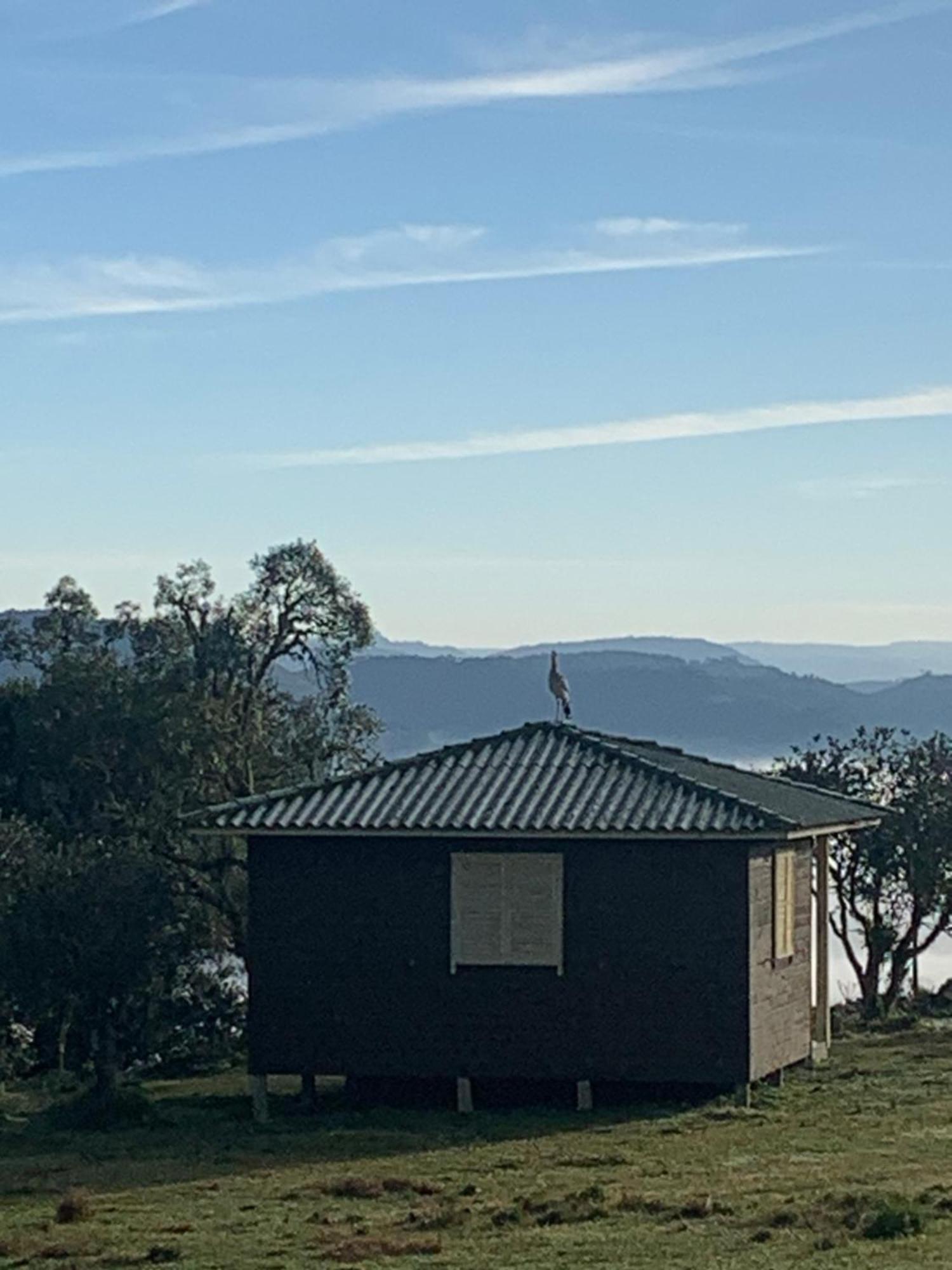 Pousada Fazenda Paim Sao Jose dos Ausentes Buitenkant foto